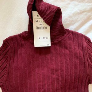 Maroon turtleneck sweater